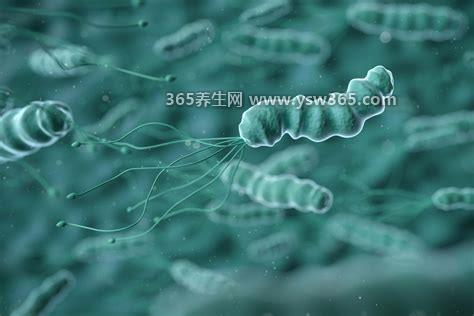 三种人不用治幽门杆菌,儿童/老年人和无危险因素的携带者
