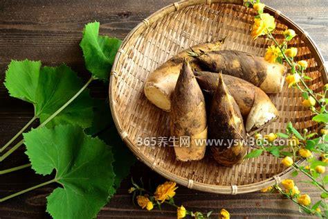 冬笋是什么,是在立冬前后由毛竹地下茎的侧芽发育而成的竹笋