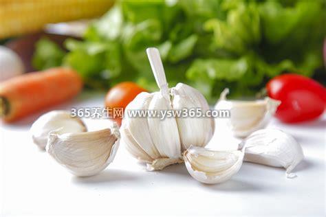 降血压的十种最佳食物,芹菜、玉米、黑木耳、萝卜、冬瓜