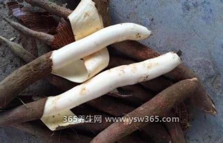 木薯图片怎么煮才没有毒,剥了皮不断换水浸泡(浸泡48小时)