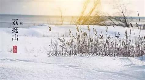 大雪不冻惊蛰不开什么意思呀,下雪和节气的时候应该是冷而不冷