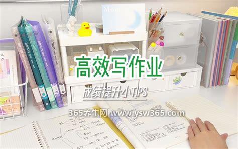 怎么快速写完作业又不累,做作业前先复习会比较简单
