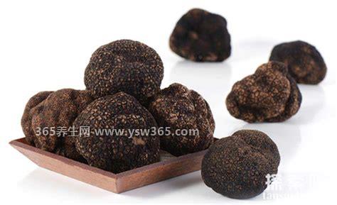 巨型白地菇多少钱一斤,一斤价格可达20万元(很稀有)