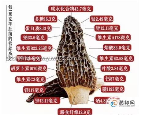 羊肚菌图片价格及功效与作用,普通羊肚菌800-1000元/斤不等