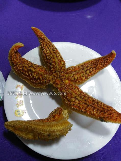 海星能吃吗怎么吃,是可以食用的/海星蒸鸡蛋比较不错