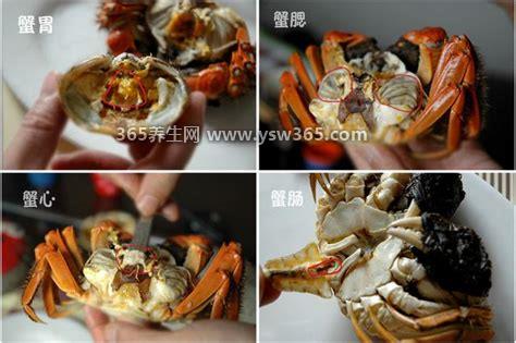 螃蟹哪些部位不能吃图解高清,四个部位(蟹腮/蟹心/蟹胃/蟹肠)