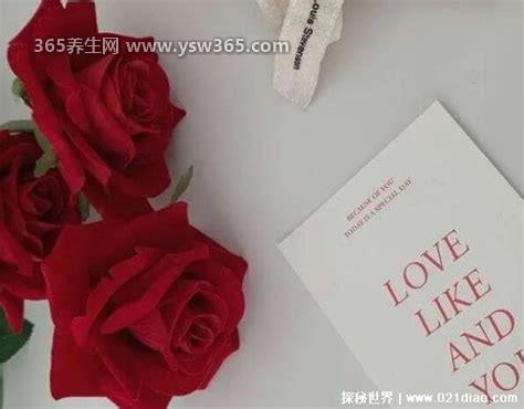 玫瑰到了花期下一句什么意思,是他很想你(向你偷偷表白)