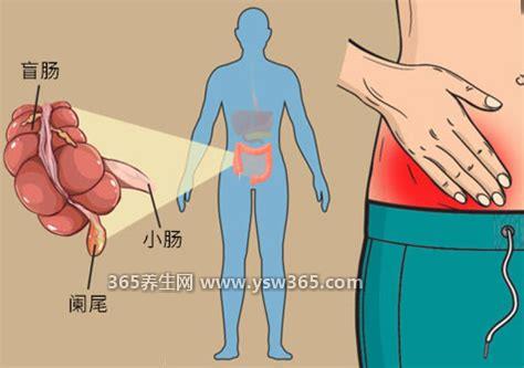人体阑尾炎的疼痛位置图片,主要是右下腹会有疼痛症状