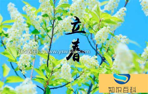 2023年躲春的属相有哪些,属兔/鼠/龙/马的人要躲春