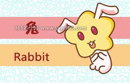十兔九苦最命苦的兔几月出生,有这四个月(二月/四月/九月/十月)