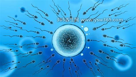 碱性乳白体是啥意思什么东西图片,男性的小蝌蚪(jing液)