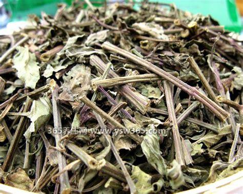 4种化结石的草药,车前草/葵花子/鸡内金能化结石(不要盲目使用)