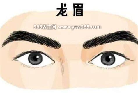 十大富贵眉毛图解,狮子眉/龙眉/剑眉/卧蚕眉都很好