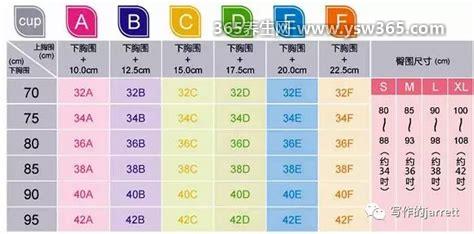 内衣罩杯abcd怎么分大小,罩杯尺寸=上胸-下胸来算大小