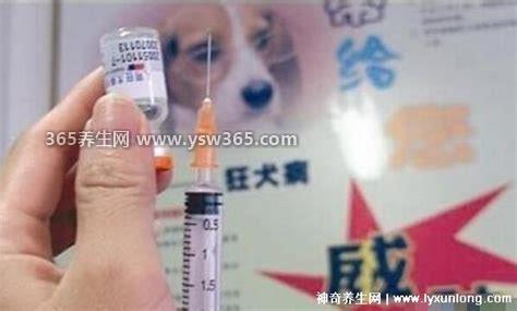 其实大部分人不用打狂犬疫苗,伤口比较严重还是需要打的