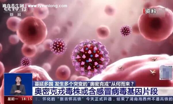 奥密克戎发烧好还是不发烧好,不发烧好(发烧容易肺部感染)