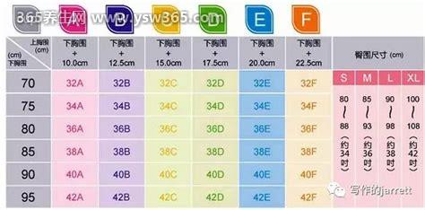内衣abcd罩杯怎么区分大小,一招让你正确区分罩杯大小