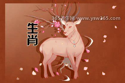 2023年属羊要出大事