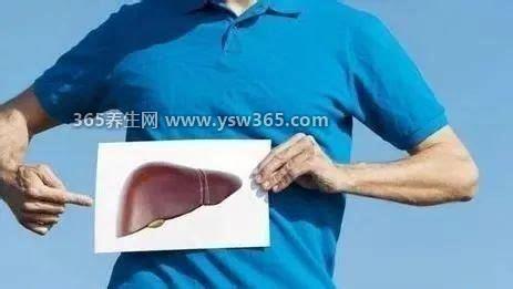 肝癌右肩痛位置图,千万不要忽视及时检查