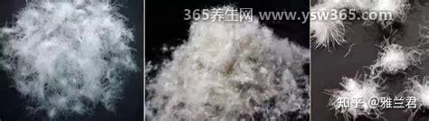 白鸭绒和灰鸭绒哪种好,两种鸭绒都很好质量是一样的