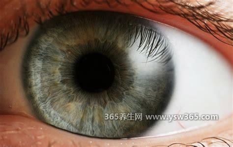 正常瞳孔和瞳孔放大图,成人正常瞳孔直径约为2.5mm-4mm