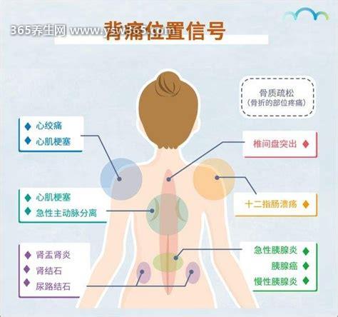 左后背疼痛位置图详解,放射到左肩和左臂内侧(注意心梗)