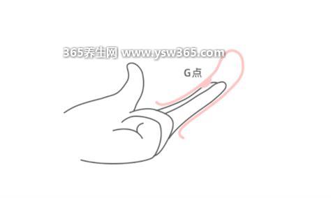 男生为什么总是手先进去,可能是个老司机/恋爱老手