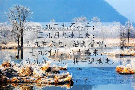 一九二九三九顺口溜儿歌是从哪天开始算,从冬至开始