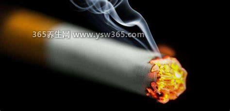 烟头中心温度可达多少度,高达700℃-800℃(温度很高)