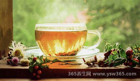 夏天喝什么茶比较好对身体,绿茶/菊花茶/莲子茶/白茶等六种茶
