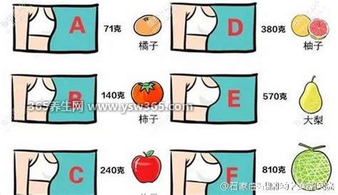 c罩杯有多大用水果比喻,大约有一个梨/一个火龙果那么大