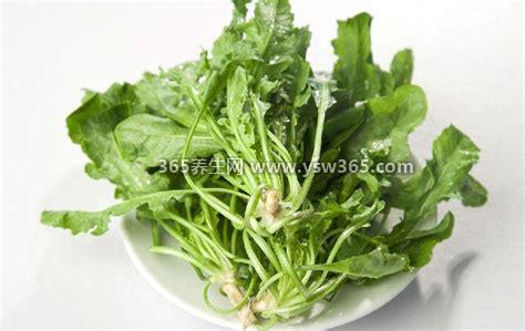 吃荠菜的禁忌,不能直接食用/不能煮太长时间等