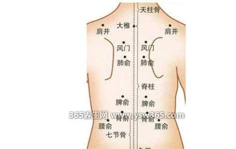 正确女性拔罐去湿气的位置图,背部脊柱两侧/涌泉穴等
