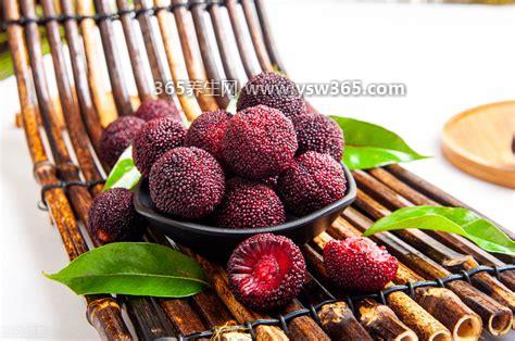 杨梅几月份成熟什么时候成熟,杨梅的成熟月份通常是5-6月