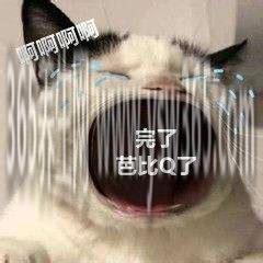 BBQ了芭比Q是什么意思梗 抖音,意思是一切都结束了(没救了)