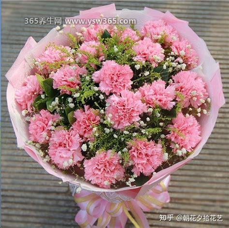 教师节送什么花,康乃馨有感恩之意适合送给老师