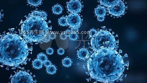 又一病毒来了比新冠可怕,亨尼帕病毒/死亡率最高70%