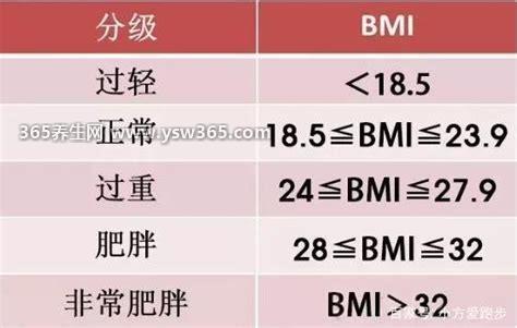 bmi指数男女标准计算公式-正常在18.5到23.9之间(男女一样)