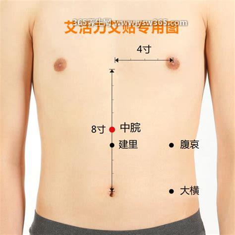 中脘的准确位置图作用按摩手法,是手太阳/手少阳/足阳明经穴的交点