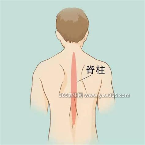 男女后背疼痛位置图详解,左背痛和右背痛的情况和位置图
