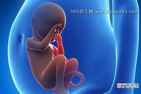 2021年必定生男孩的月份,可以根据这四个月来安排