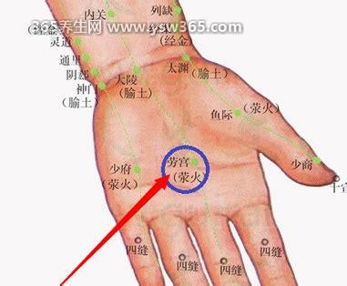 劳宫穴的准确位置图及功效作用,位于手掌第二/三掌骨之间