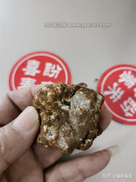 阿尔巴白松露多少人民币一斤,曾经要3.5万美元