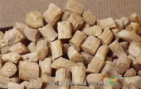 野生中药牛膝图片,它的叶子是椭圆形的(能长到120厘米的高度)