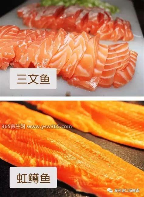 三文鱼肉和虹鳟鱼肉的区别图,虹鳟鱼不能生吃/有寄生虫风险