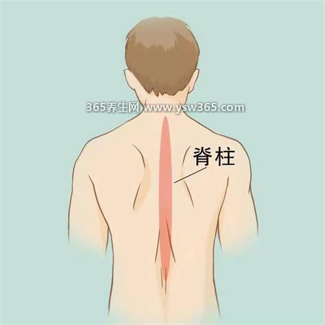 后背疼痛是什么原因有哪些,颈椎病/富贵袋(颈后疼痛)