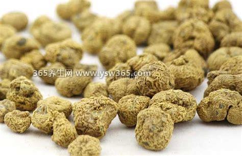 醋延胡索的功效与作用及禁忌,它的镇痛作用效果非常好