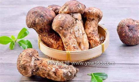 吃松茸的禁忌,过敏体质不适合吃/食物有高钙高脂肪不能吃