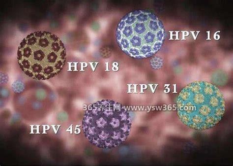 女性hpv是什么病毒图片,是人乳头瘤病毒/一般通过性传播