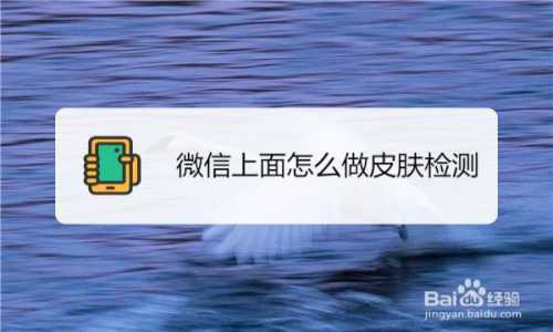 百度扫一扫识别皮肤病怎么用在哪里,打开百度软件识别功能